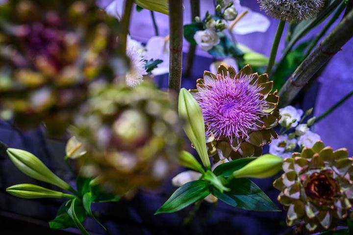 Blüten und Grün in einer Innenrauminszenierung