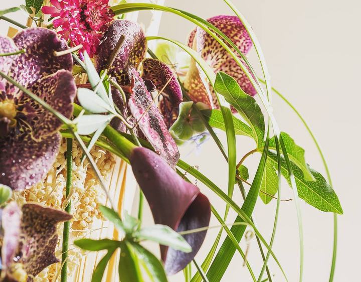 Callas und Orchideen im Detail